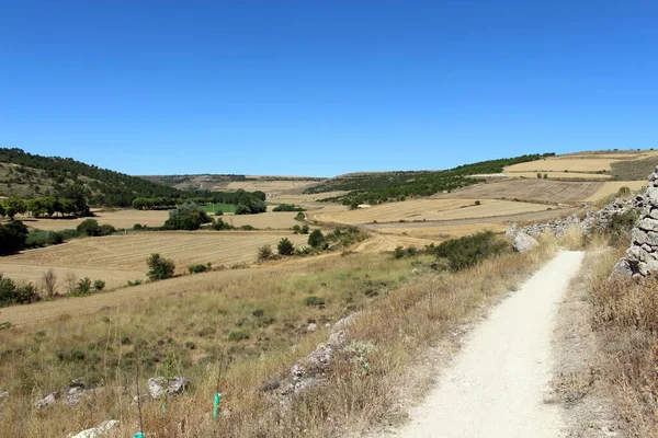 Temmuz 2024 'te Hontanas' ın ardından Camino patikası ve mavi gökyüzü yıkıldı.