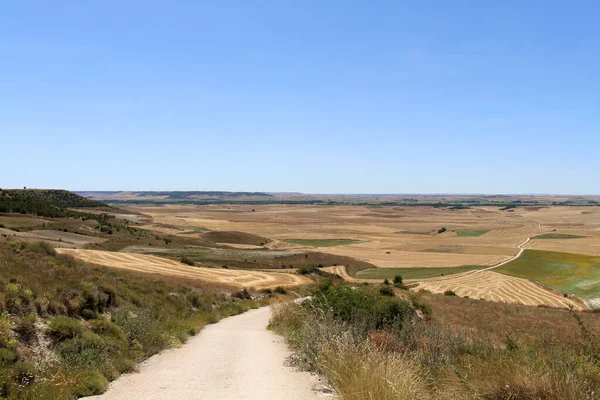 Temmuz 2024 'te Castrojeriz' den Itero de la Vega 'ya kadar uzun toprak yol kuru güneşli Meset
