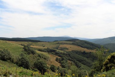 Manjarin ve El Acebo arasındaki Dağ Manzarası. San Miguel Temmuz 2024 Yeşil alan ağaçları ve kamuflaj boyunca mavi gökyüzü.