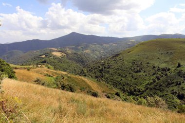 Sierra de los Ancare O Cebreiro 'ya doğru Temmuz 2024 Rocky toprak yolu
