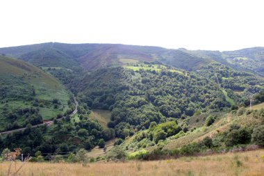 Sierra de los Ancare O Cebreiro 'ya doğru Temmuz 2024 Rocky toprak yolu