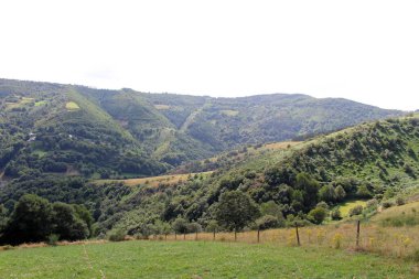 O Cebreiro 'ya Dağ Yolu Temmuz 2024