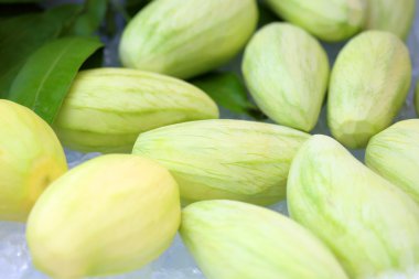 buz üzerinde yeşil taze mango 