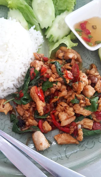 Thajská pikantní jídlo, míchejte smažené kuře s bazalkou, rýže. — Stock fotografie