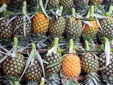 Bir sürü taze ananas meyve arka plan 