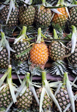 Bir sürü taze ananas meyve arka plan 