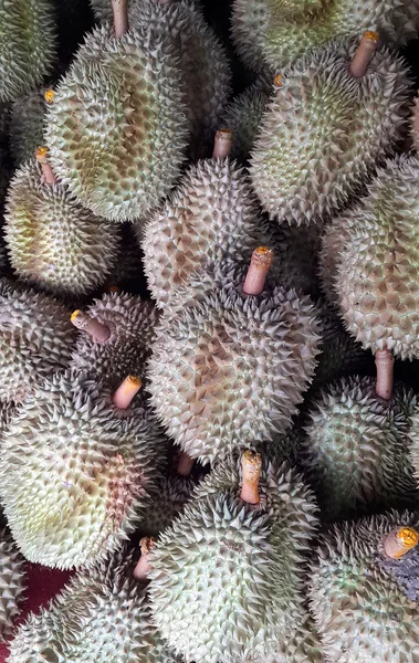 Friss durian a piacon. — Stock Fotó