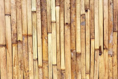 Bambu çit arka plan 