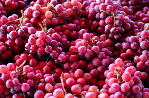 新鲜红葡萄 — 图库照片
