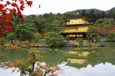 Kyoto, Japonya 'daki Kinkakuji Tapınağı (Altın Pavyon)