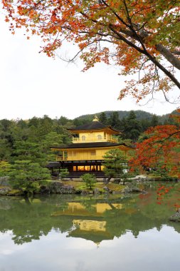 Kyoto, Japonya 'daki Kinkakuji Tapınağı (Altın Pavyon)