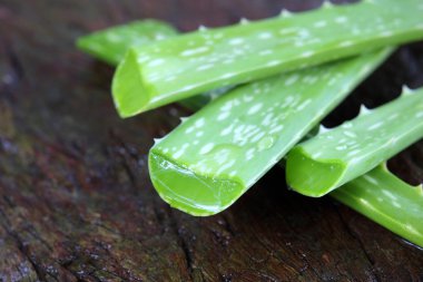 Vera Teyze ahşap arka planda kalıyor.