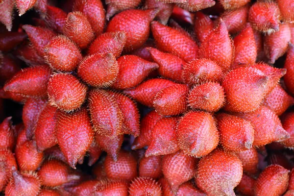 Червоні тропічні фрукти Салака або Закака . — стокове фото