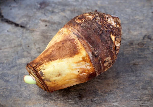 Taro-Wurzel auf Holzgrund — Stockfoto