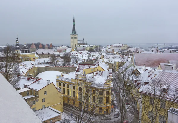 Tetők, a régi Tallinn, Észtország — Stock Fotó