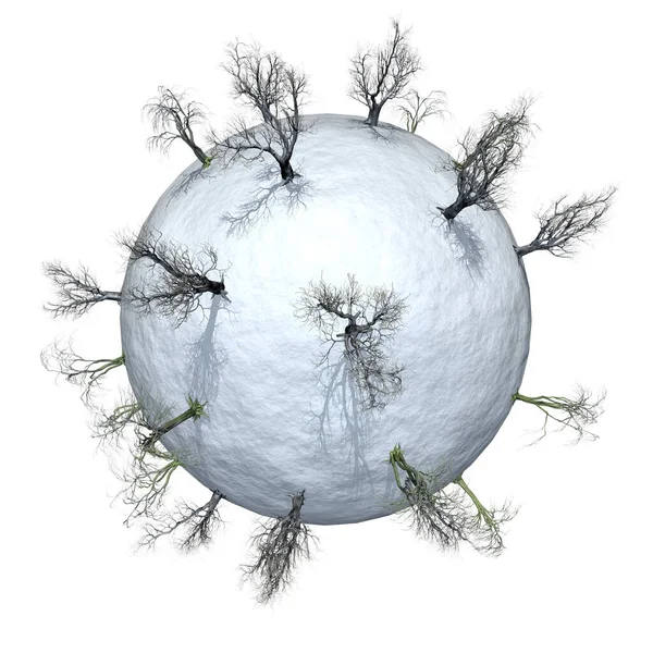 Miniature Planet Leafless Trees Winter Time Isolate — Stock Photo, Image