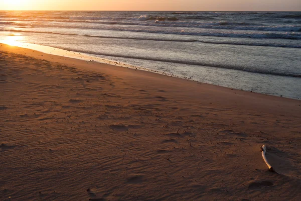 Sea coast landscape — Stock Photo, Image