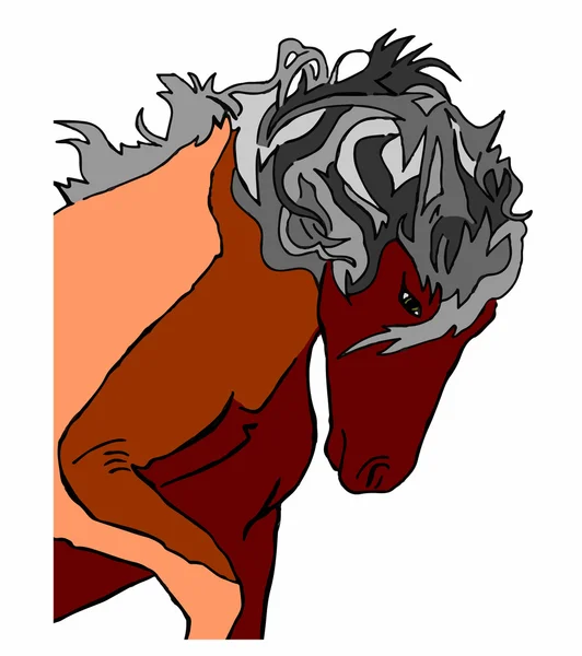 Semental de caballo sobre fondo blanco — Vector de stock