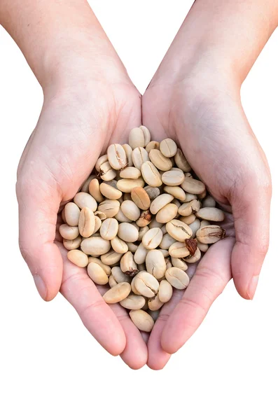 Coffee bean in women hand — Stock Photo, Image