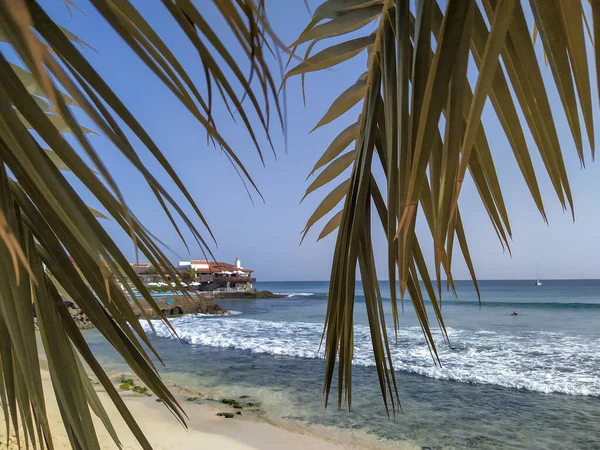 Strand Santa Maria Sal Från Palm — Stockfoto
