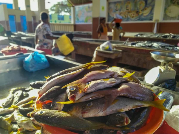 Mercado Peixe Mindelo Cabo Verde — Fotografia de Stock