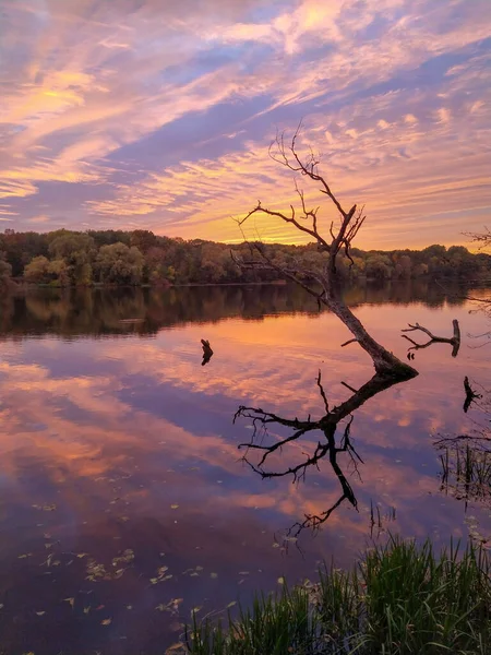 Reflejos Del Atardecer Lago Rusalka Ciudad Poznan Región Gran Polonia — Foto de Stock