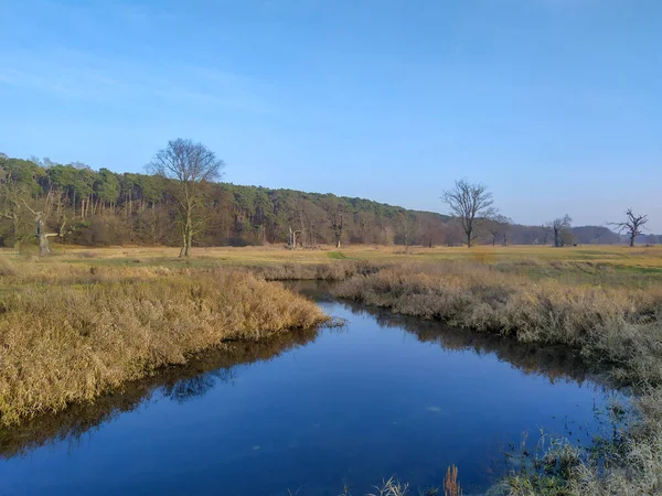 Fiume Warta Vicino Mosina Tra Parco Nazionale Wielkopolska Parco Paesaggistico — Foto Stock