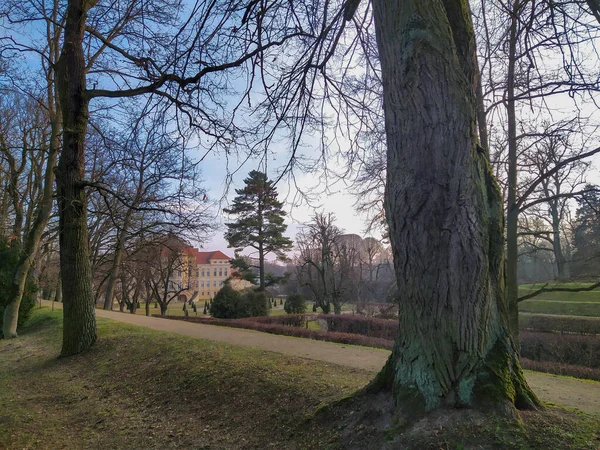 Wielkopolska Bölgesindeki Peyzaj Parkında Rogalin Kalesi — Stok fotoğraf