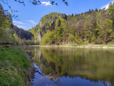 Polonya 'nın güneyinde, Kroscienko kenti yakınlarındaki Pieniny Ulusal Parkı' ndaki Dunajec nehri manzarası