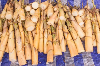 Taze bambu sürgünleri yerel gıda piyasa, Tayland satış