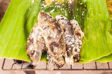 Yerel Tay pazarda satan yanan pişirme balık ile tuzlu