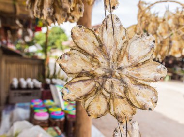 Tuzlu balık Tay yerel pazarda satan kurutulmuş