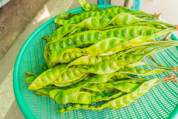 Parkia speciosa in vendita al mercato thailandese locale — Foto Stock