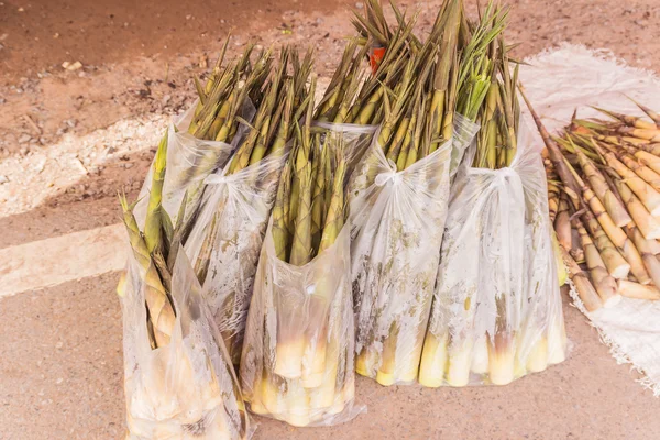 Brotes de bambú fresco que se venden en el mercado local de alimentos, Tailandia —  Fotos de Stock