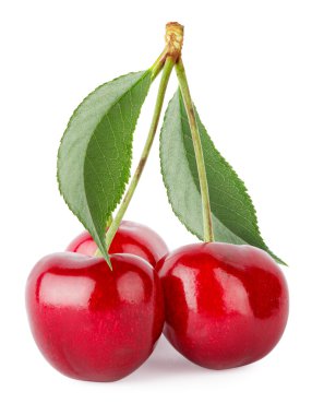 Üç Olgun Kiraz yaprakları ile