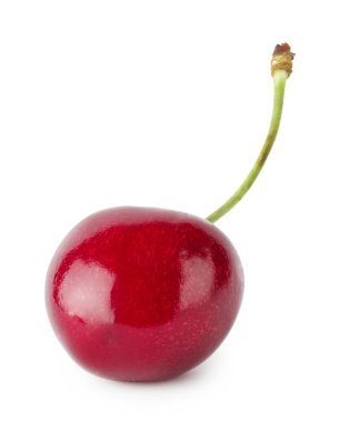 Parlak Olgun Kiraz saplı