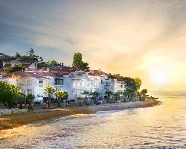 Palmiye ağaçları ile adada Beach