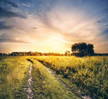 Yol alanına döndürmek