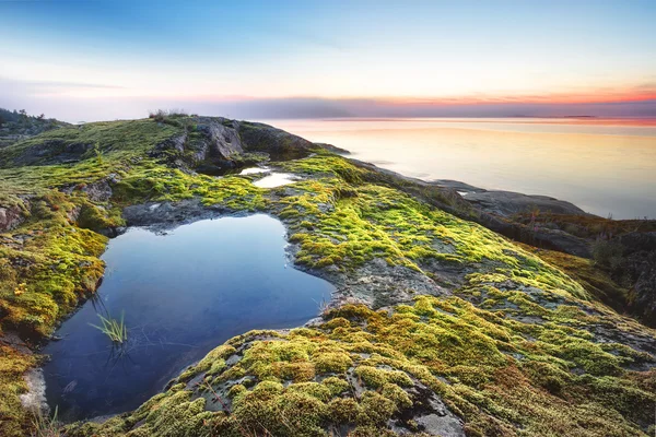 Eiland strand bedekt met mos — Stockfoto