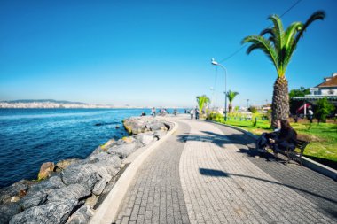 Palmiye ağaçları ile adanın iskele