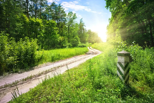 Dirt road in the forest — Stock Photo, Image