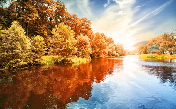 Forêt d'automne au bord de la rivière — Photo