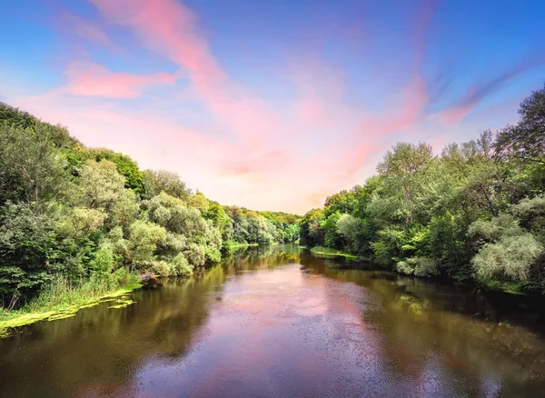 Fluss mit grünen Bäumen am Ufer — Stockfoto