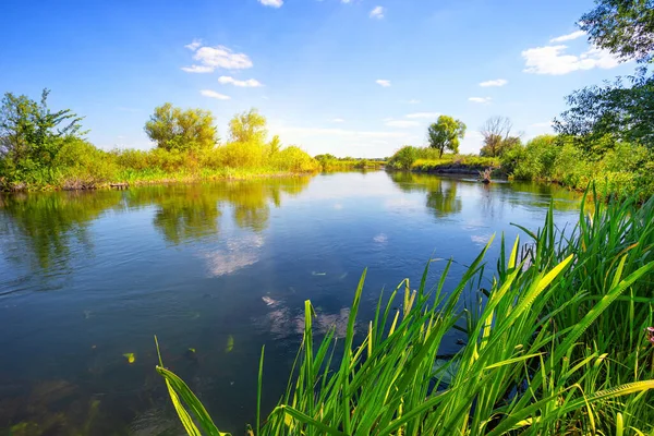 Fluss mit grünen Ufern unter blauem Himmel — Stockfoto