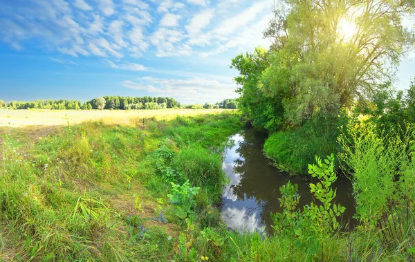 Petite rivière sur une prairie verte par une journée ensoleillée — Photo