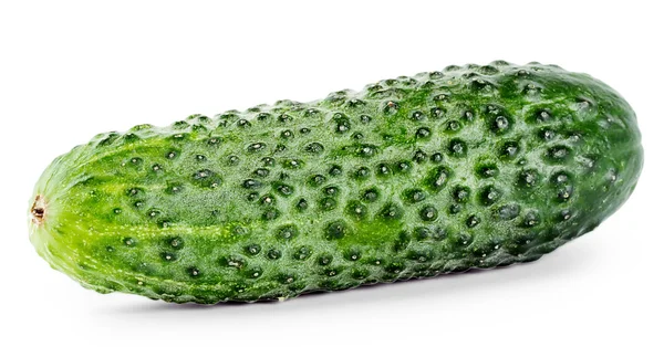 Crisp green cucumber — Stock Photo, Image