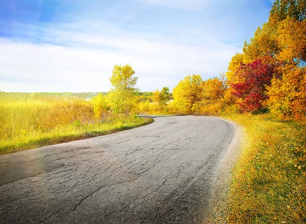 Strada di campagna tortuosa tra alberi gialli d'autunno — Foto Stock