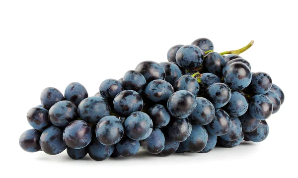 Ripe sekelompok anggur biru — Stok Foto