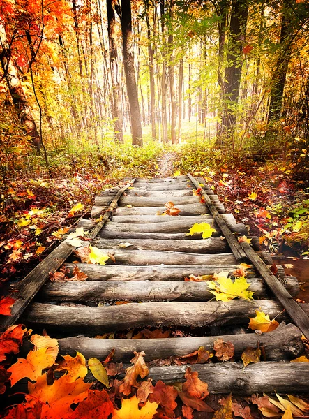 Wooden bridge — Stock Photo, Image