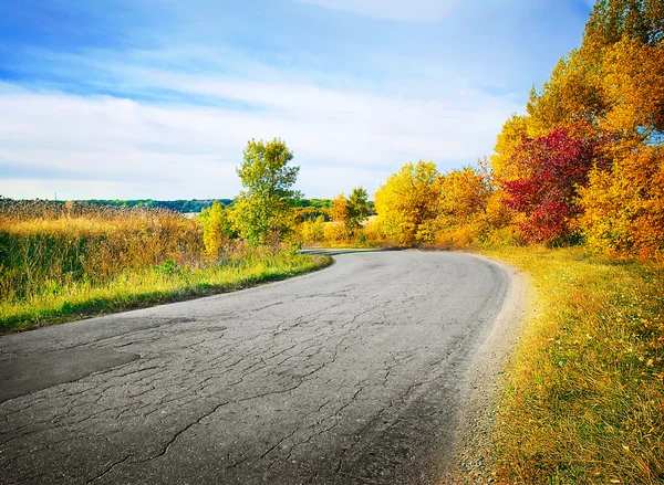 Camino de campo en bosque de otoño — Foto de Stock